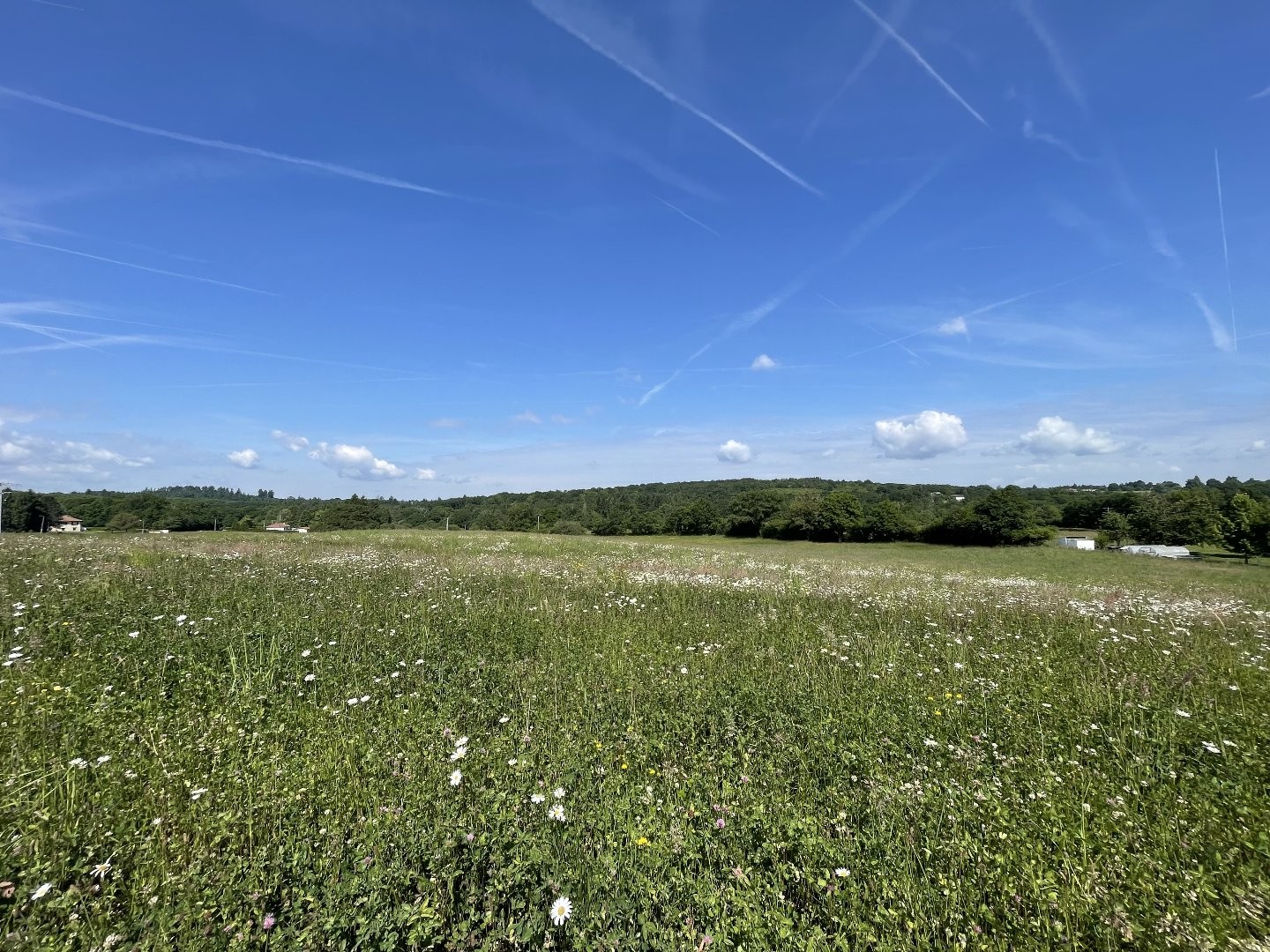 Terrain à vendre - 1566m2 - Feytiat (87220)
