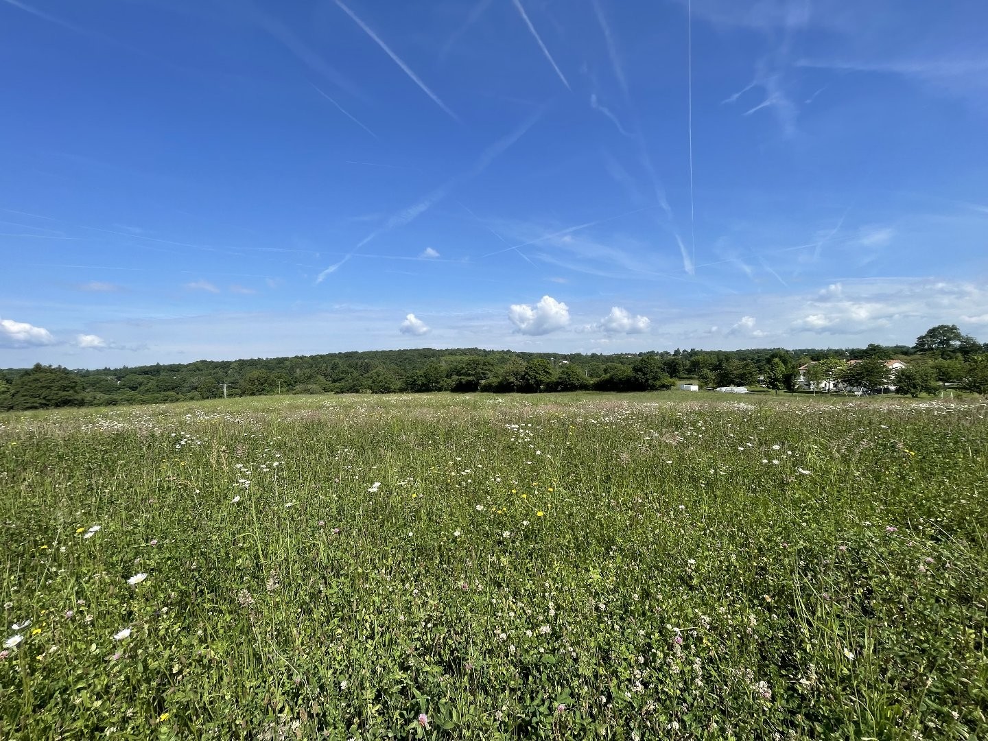 Terrain à vendre - 1566m2 - Feytiat (87220)