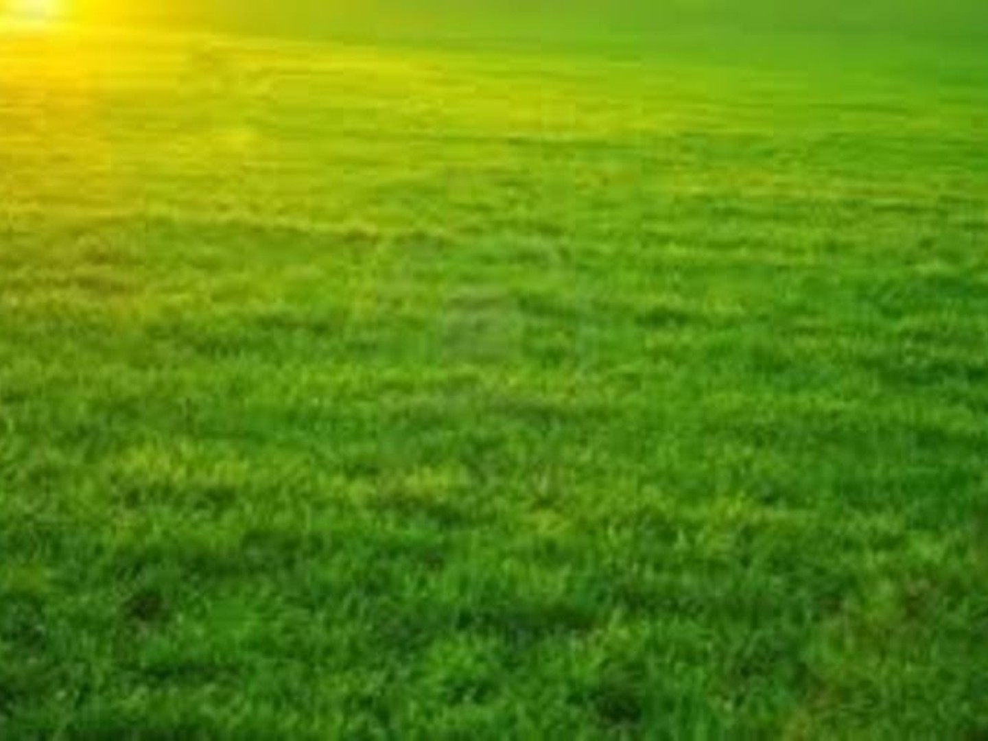 Terrain 800 m²