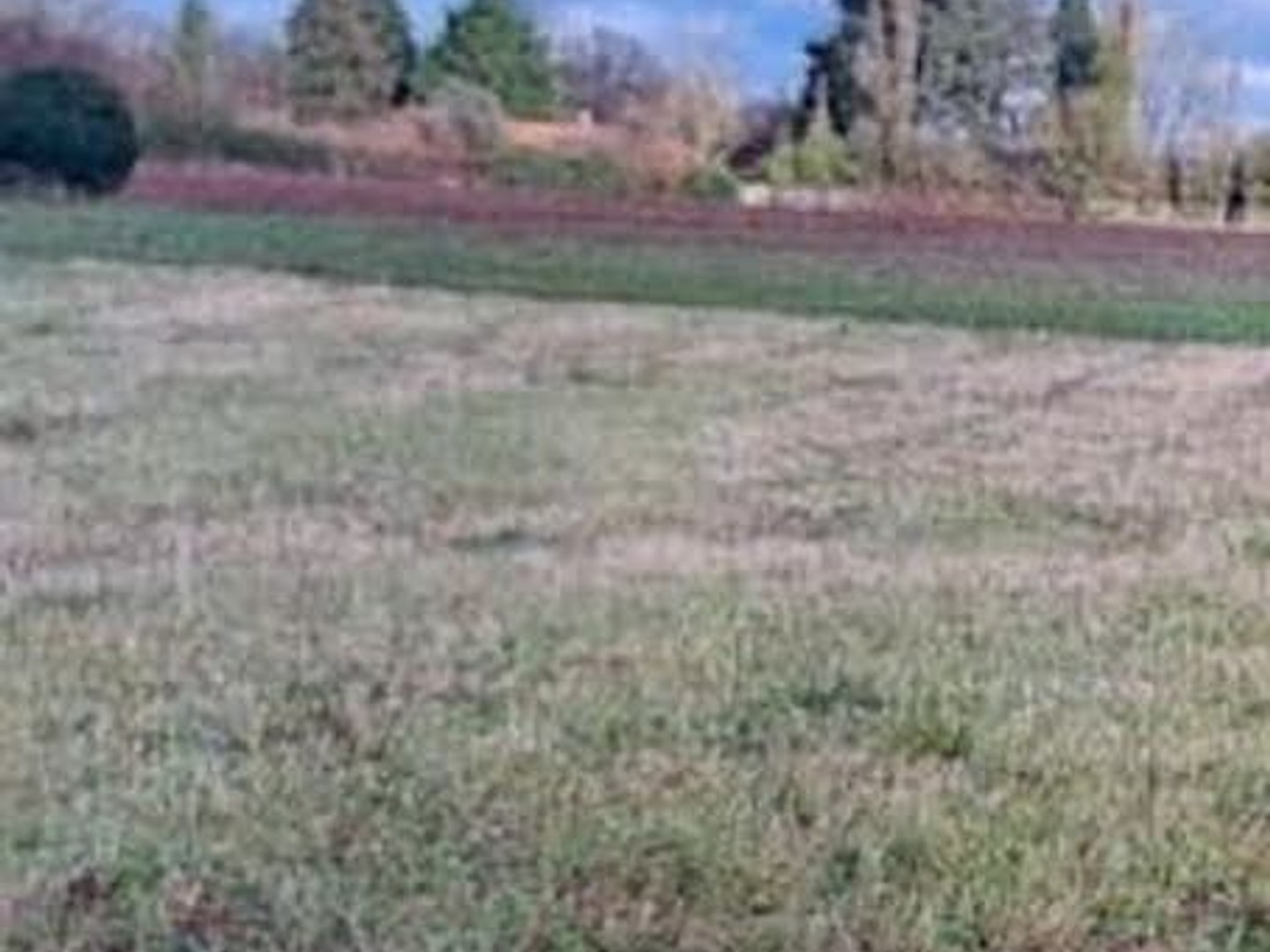 Terrain 643 m²