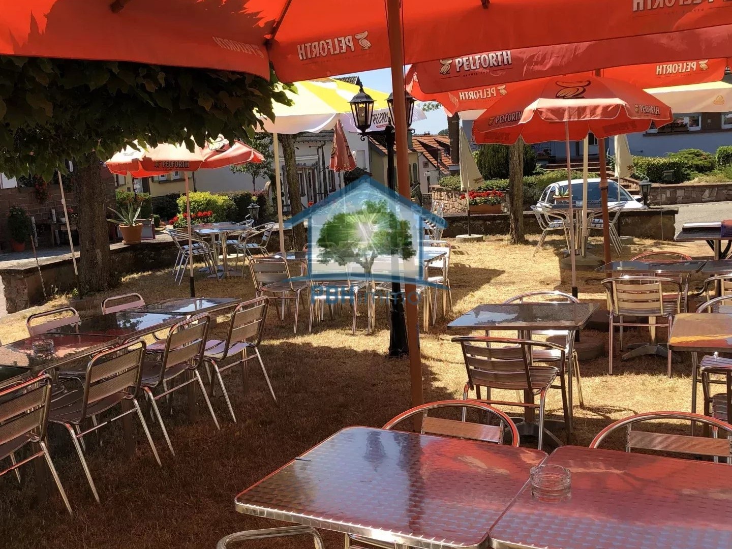 VOSGES DU NORD (67) MURS + FONDS RESTAURANT AVEC CHAMBRES HOTES + APPT PRIVES + F3