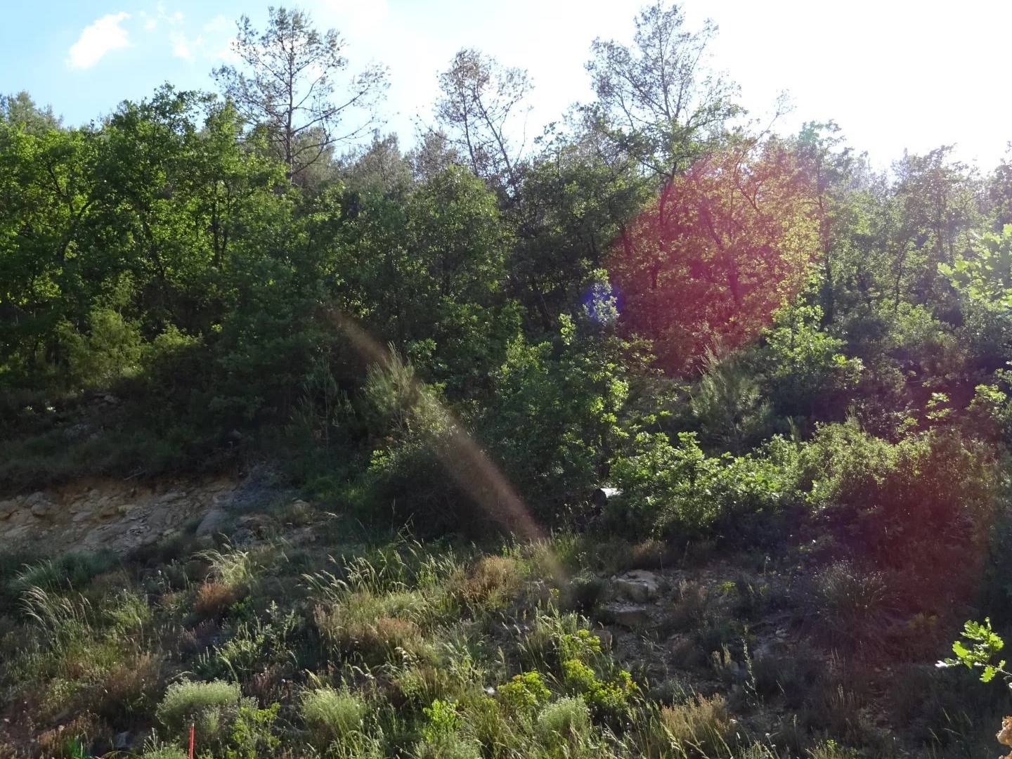 Terrain constructible à Vins-sur-Caramy, 651 m² disponible