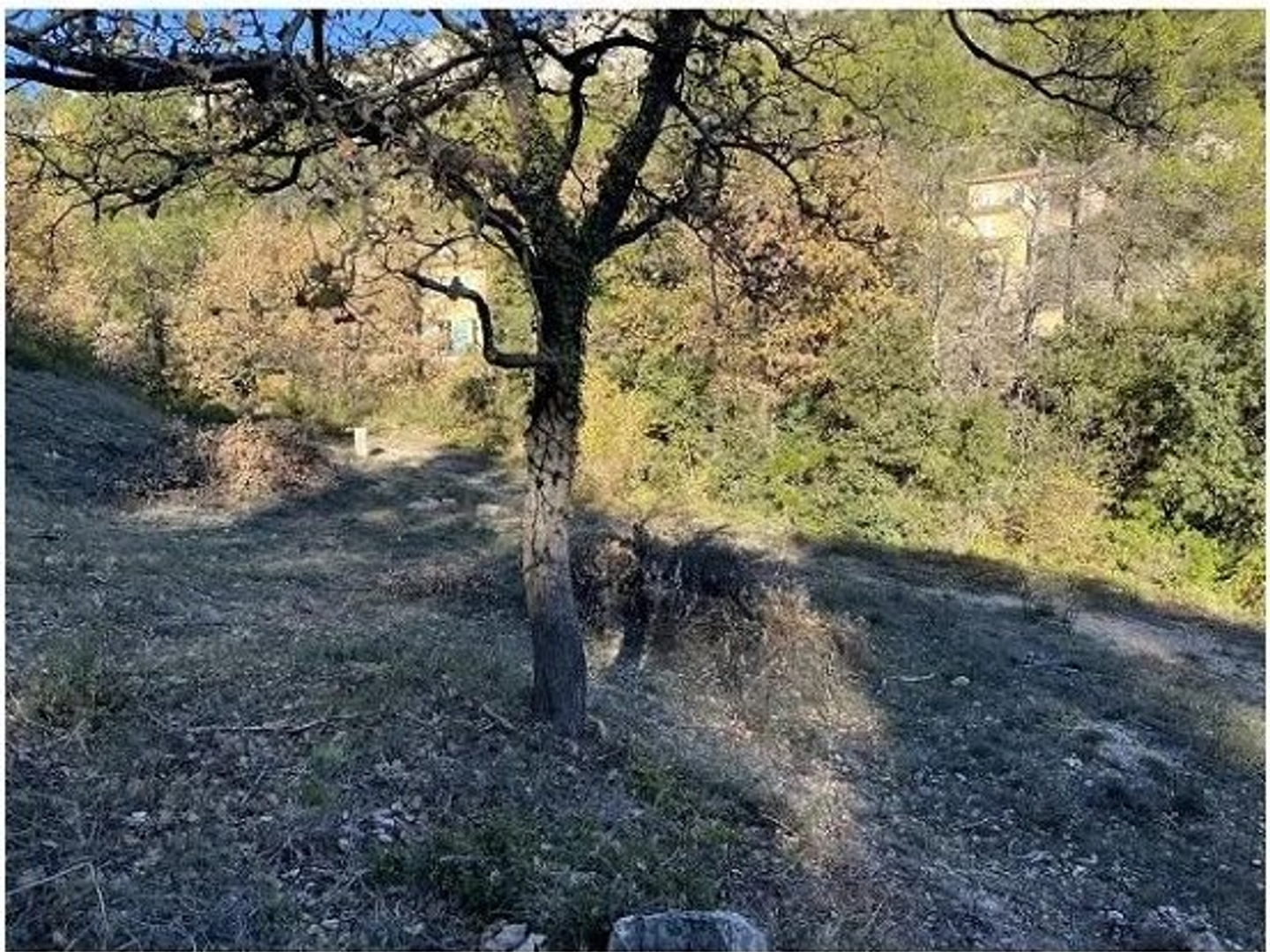 Terrain à vendre - 651m2 - Vins-Sur-Caramy (83170)