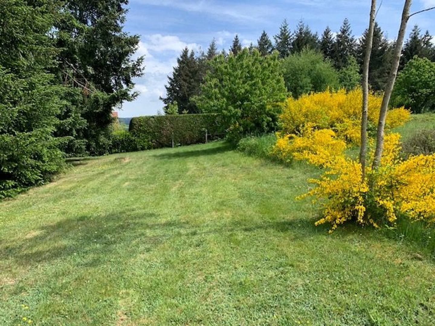 Terrain en individuel 1679 m²