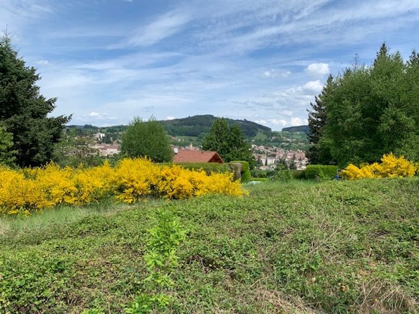 Terrain à vendre - 1679m2 - Chauffailles (71170)
