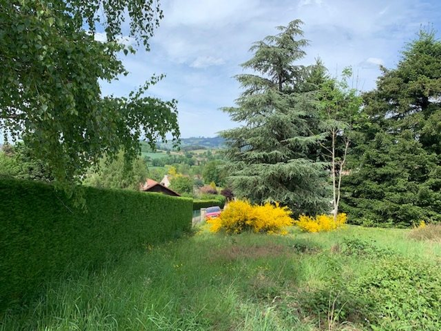 Terrain à vendre - 1679m2 - Chauffailles (71170)