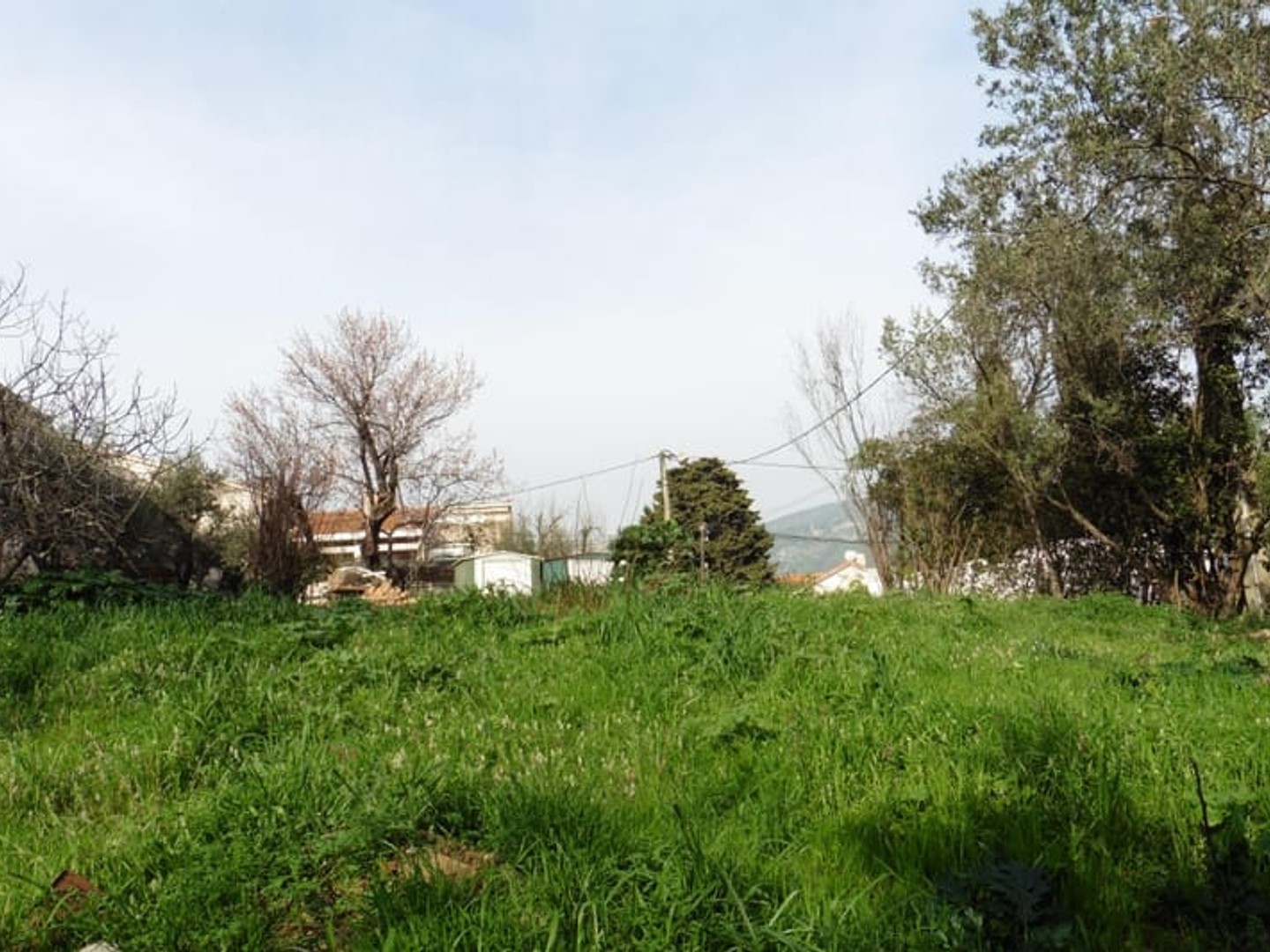 Terrain 360 m²