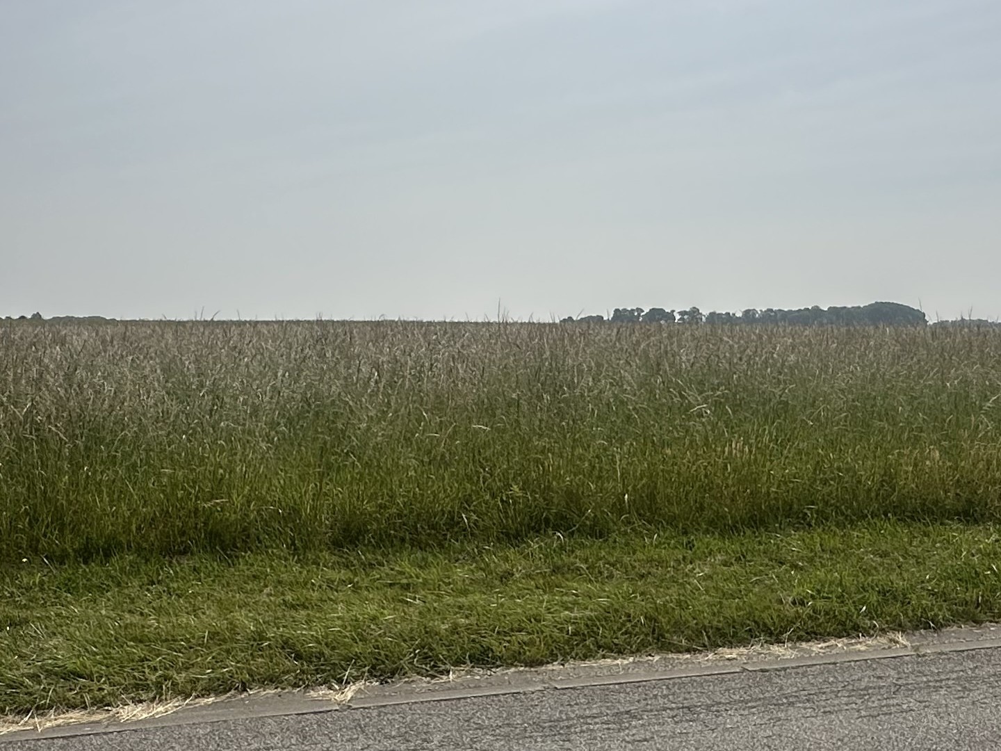 Terrain 988 m²