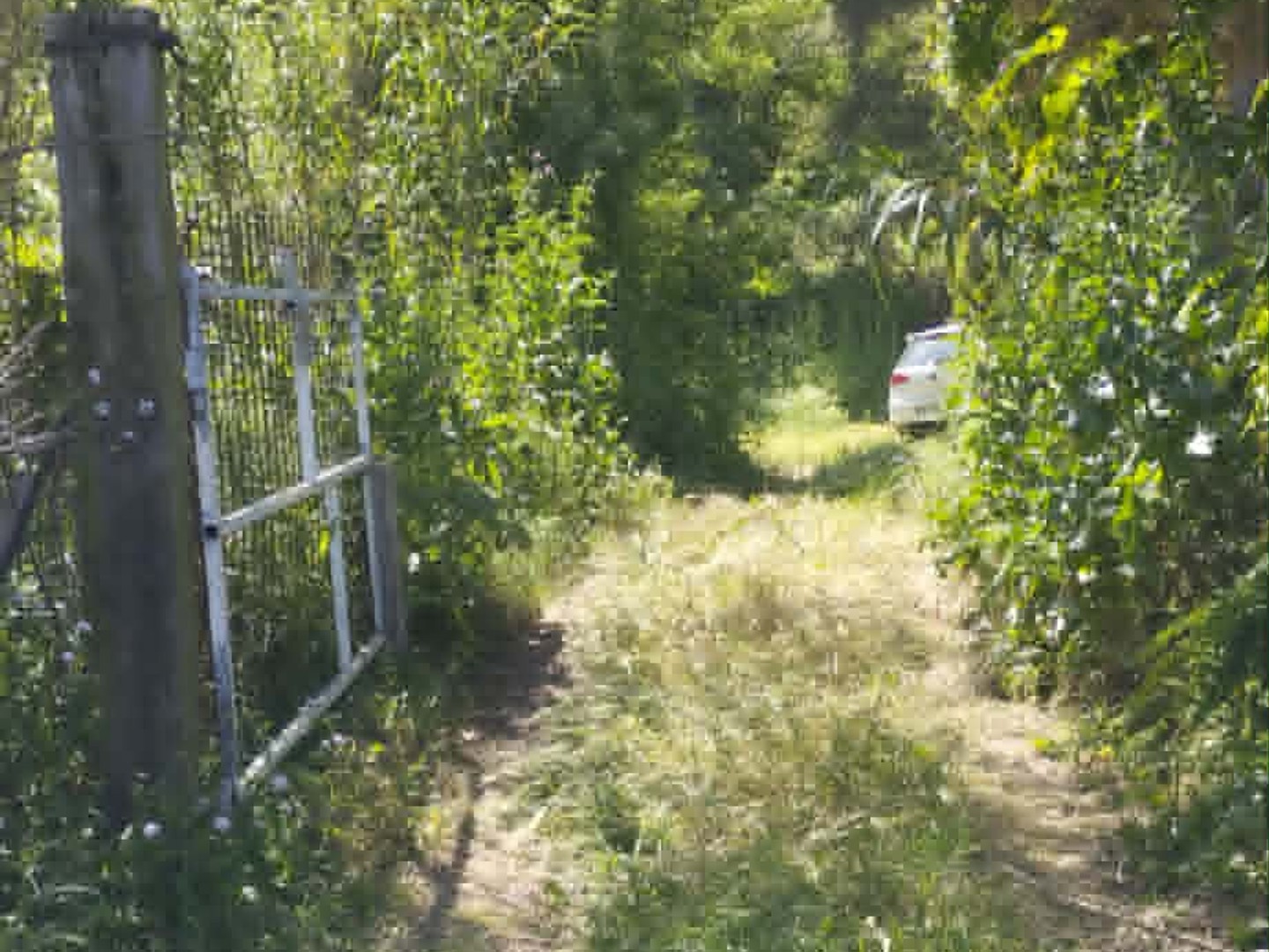 Terrain à vendre - 4045m2 - Montfrin (30490)