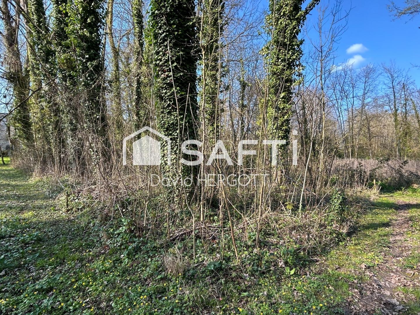 Terrain de loisir boisé - 572 m² - Tavers (45190)