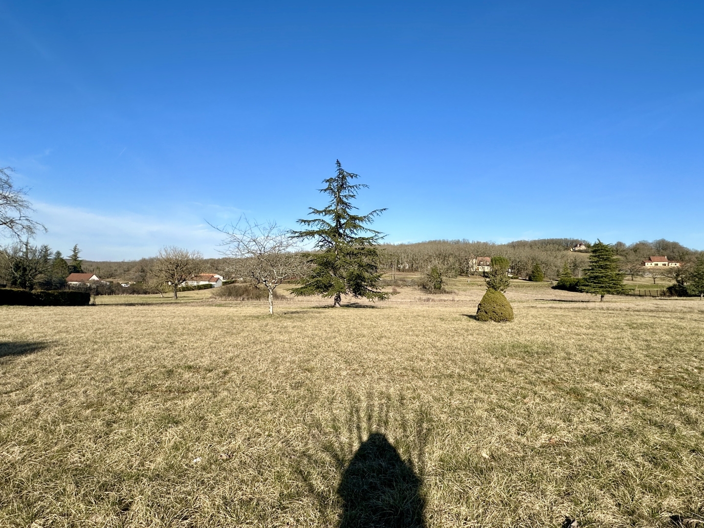 Terrain à vendre - 2000m2 - Nadaillac (24590)