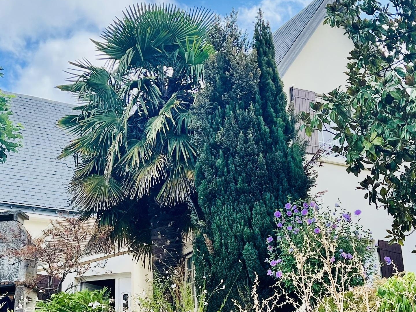 Maison d'architecte 7 pièces