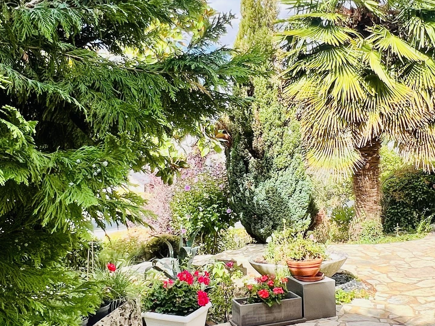 Maison à vendre - 7 pièces - 200m2 - Cholet (49300)