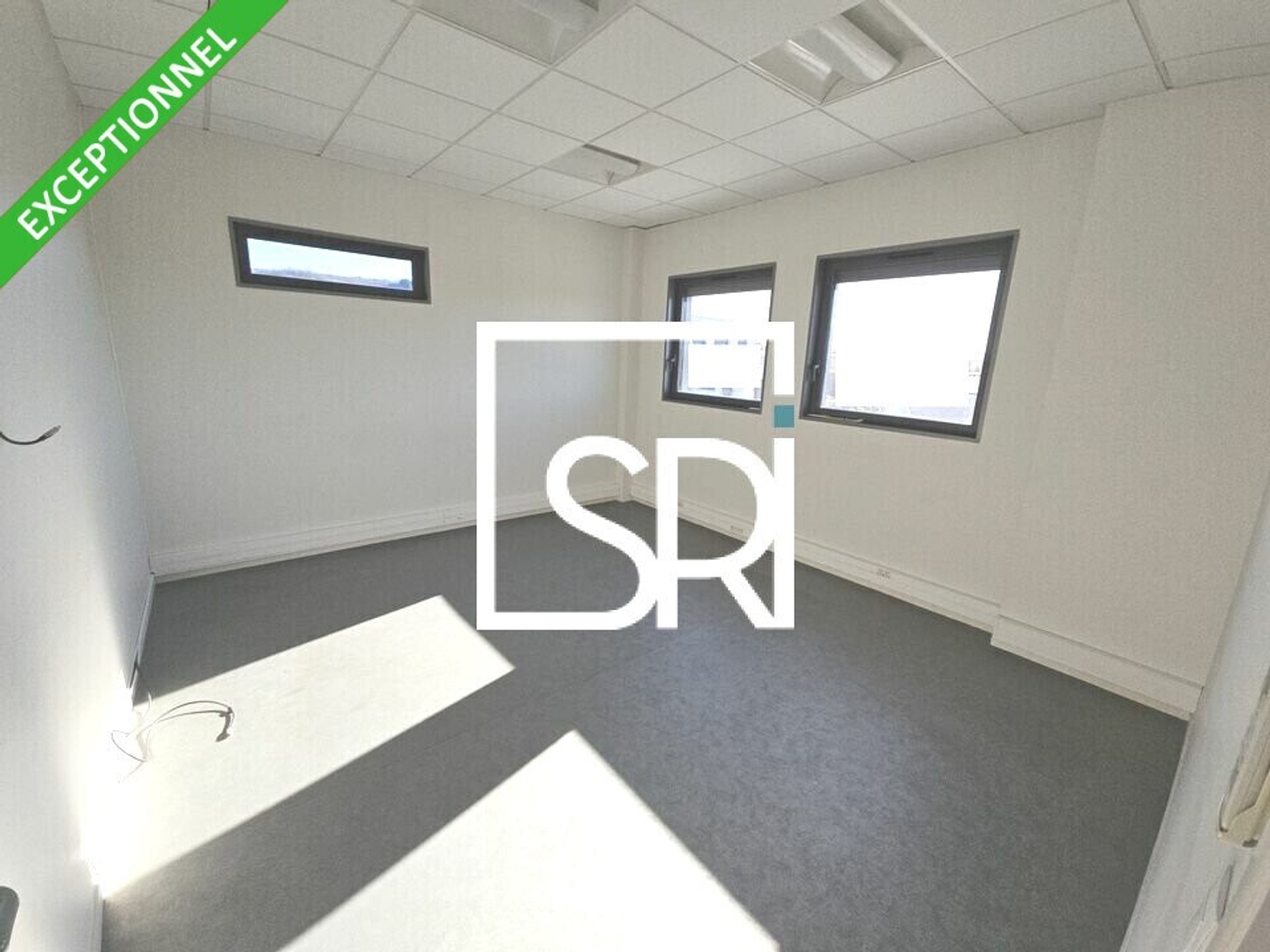 BUREAUX A VENDRE