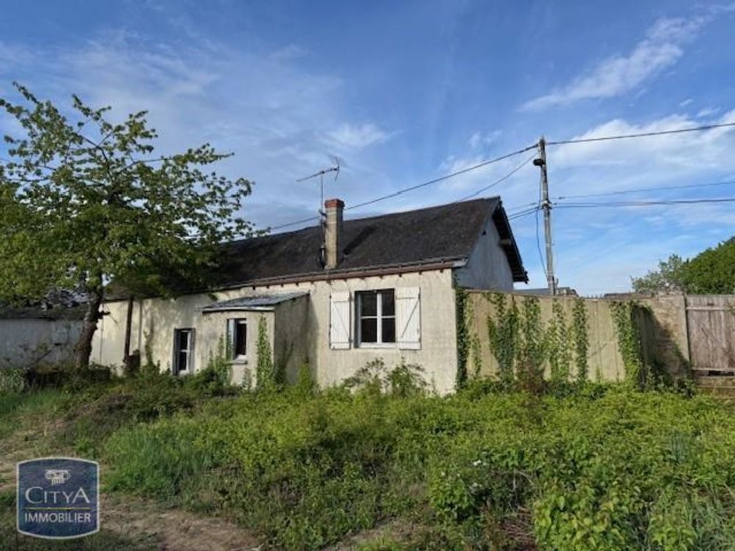 maison