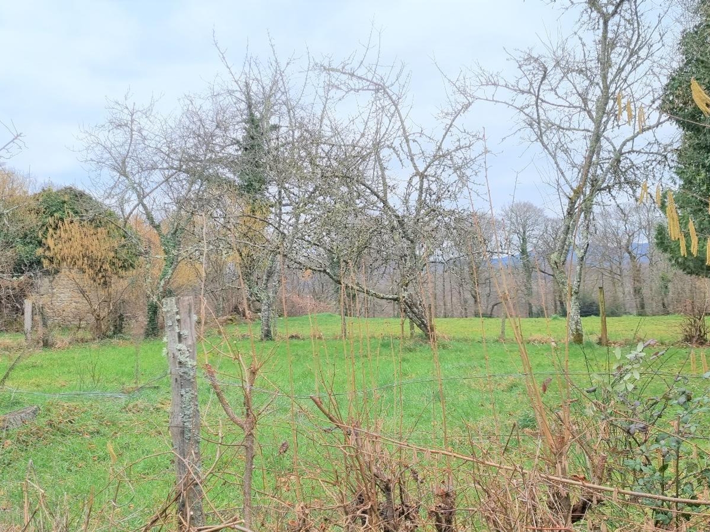 Maison à vendre - 4 pièces - 80m2 - Saint-Silvain-Mon... (23320)