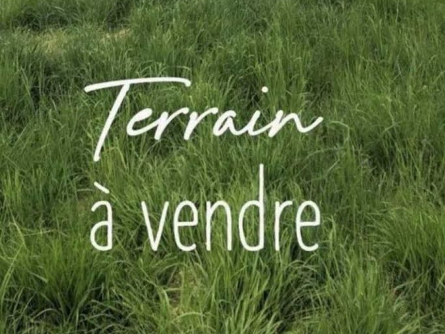 Terrain 599 m²