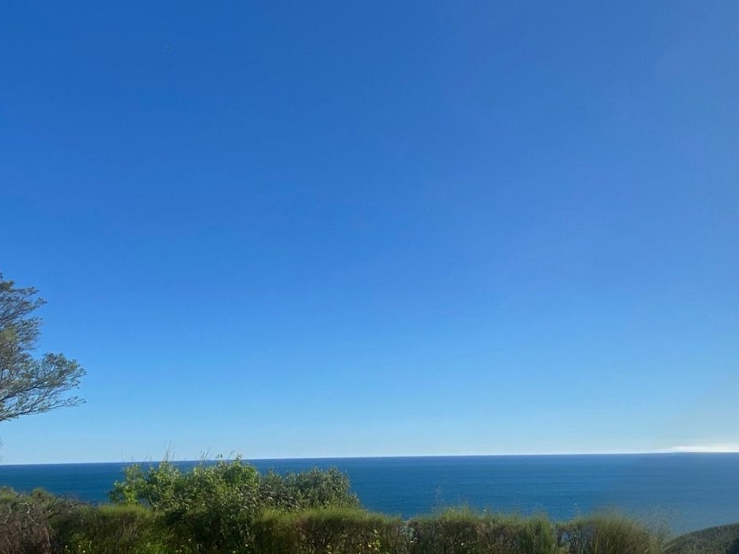 Appartement à vendre - 1 pièce - 23m2 - Banyuls-Sur-Mer (66650)