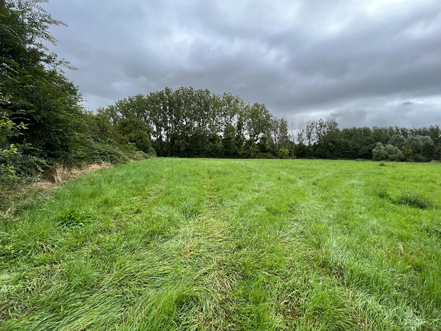 Terrain Blancafort 2200 m2