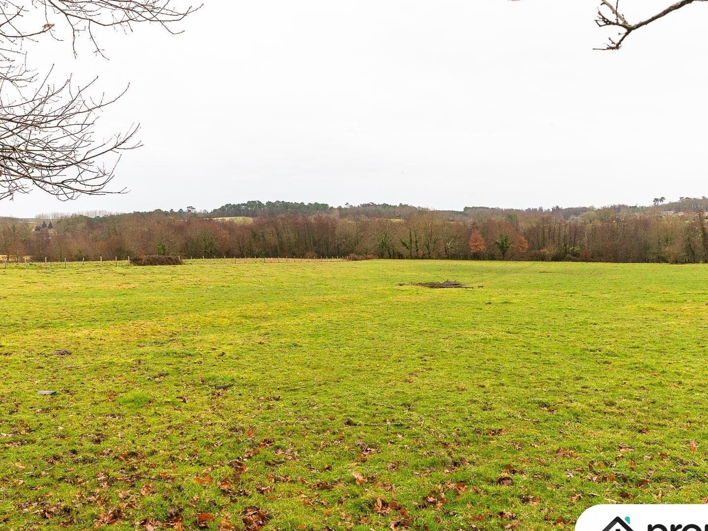 Terrain 50000 m²
