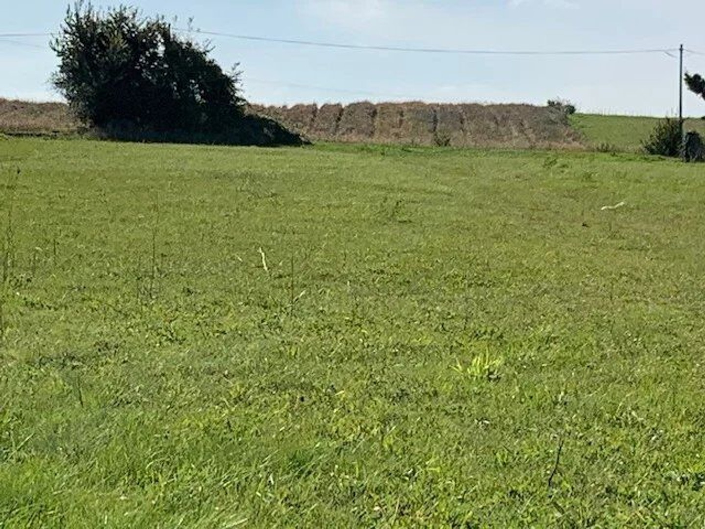 Terrain