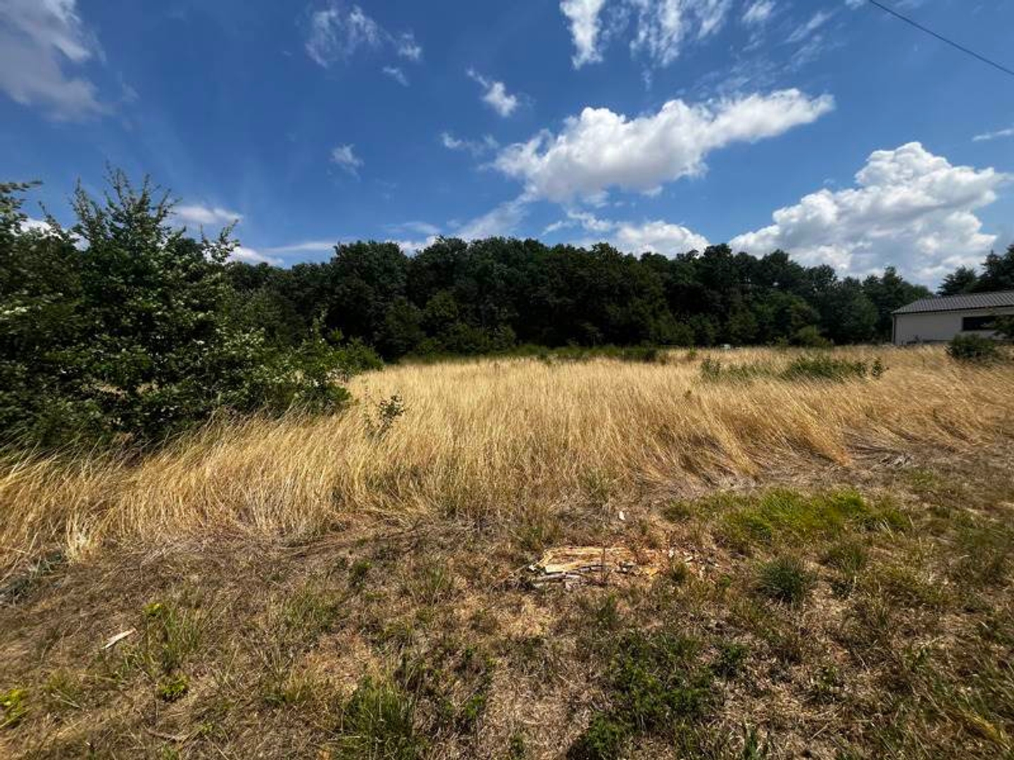 Terrain 12447 m²