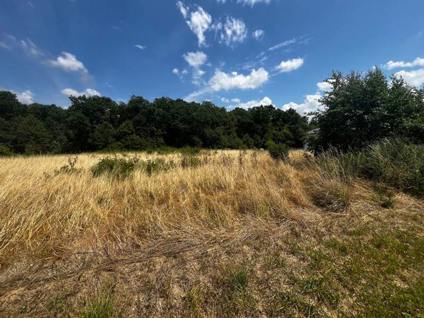 Terrain à vendre - 12447m2 - Chaunac (17130)