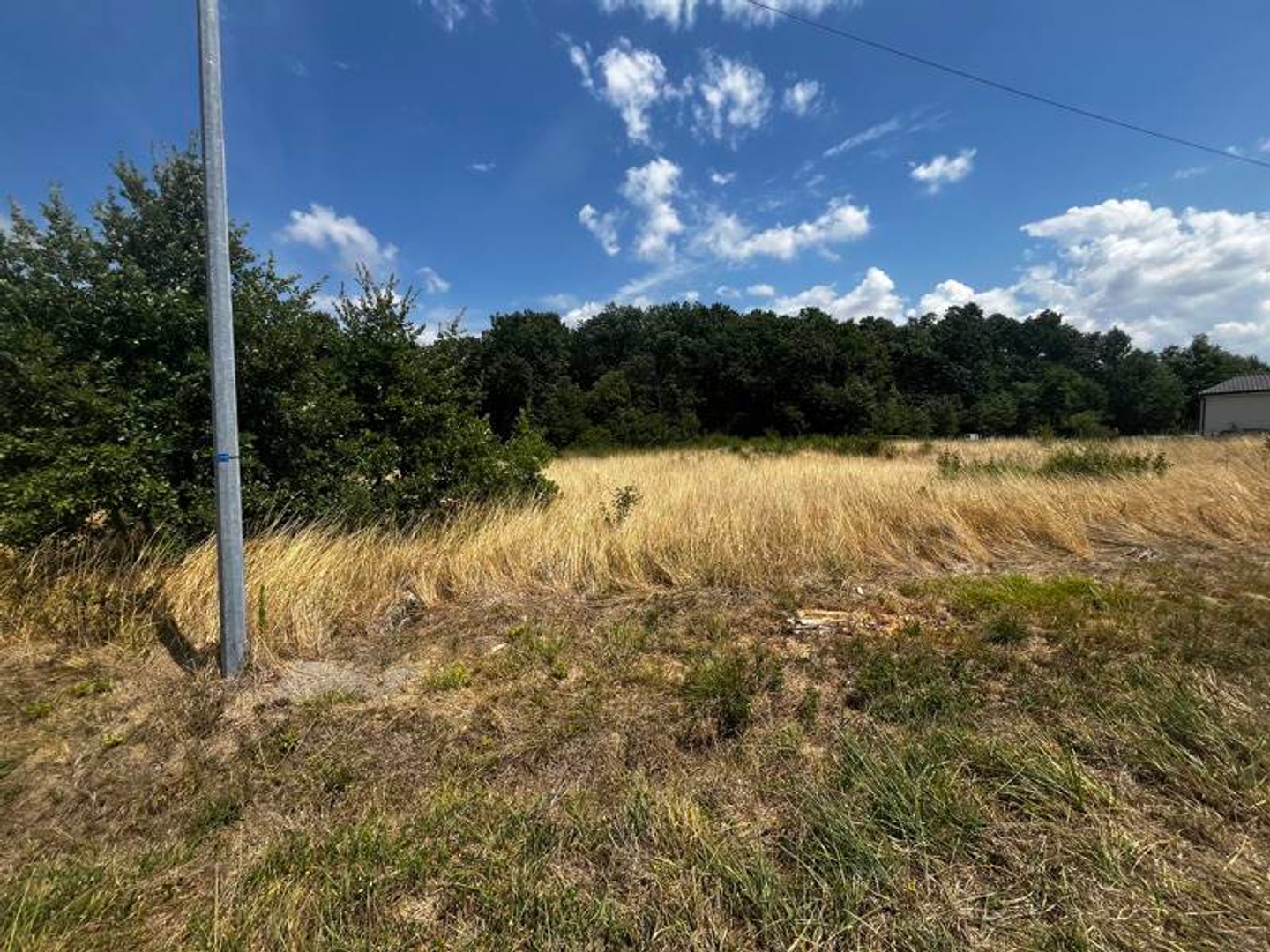 Terrain à vendre - 12447m2 - Chaunac (17130)