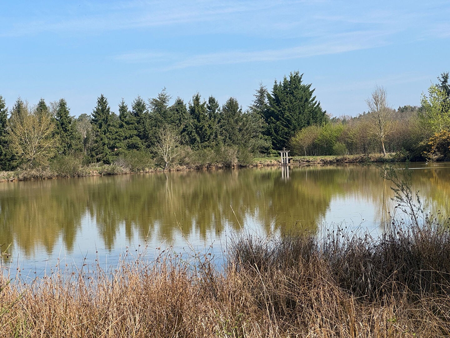 ETANG A VENDRE EN SOLOGNE