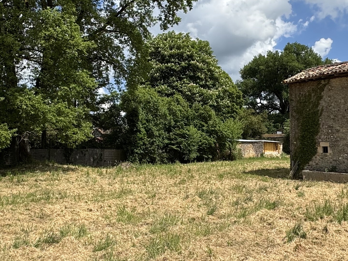Maison à vendre - 5 pièces - 171m2 - Champagné-Saint-H... (86160)