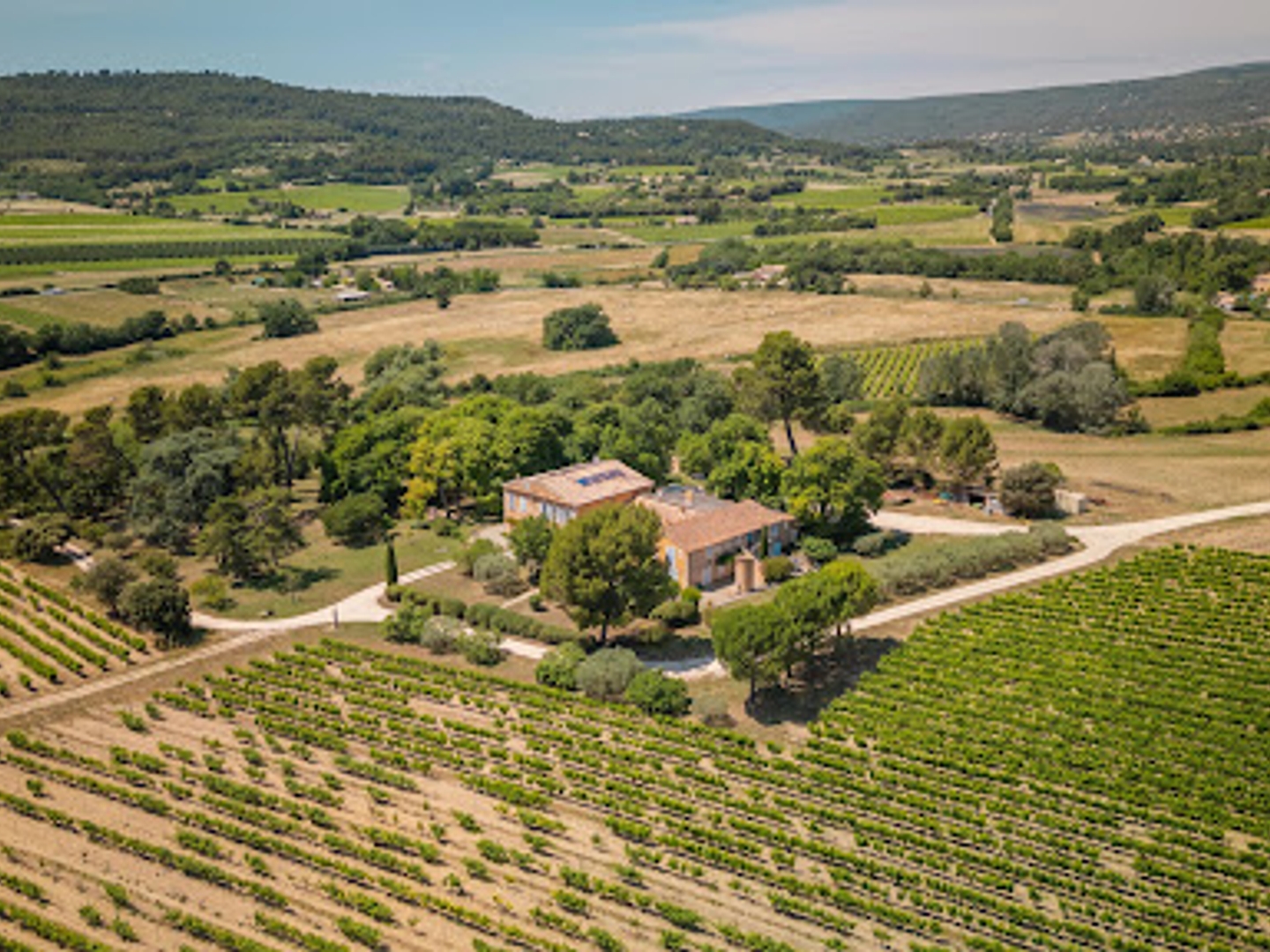 Vignoble 817 m²