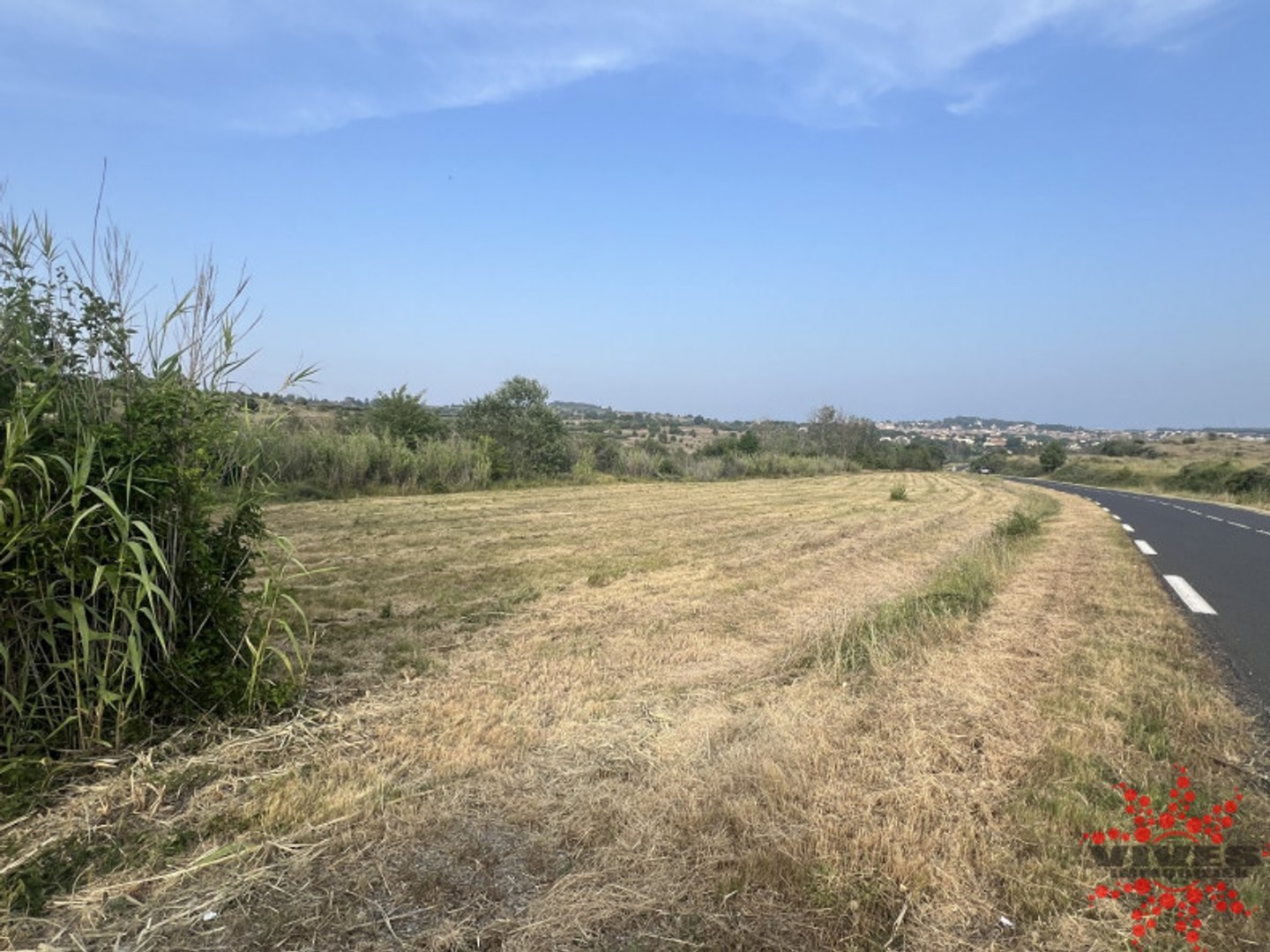 Terrain agricole 3789 m²