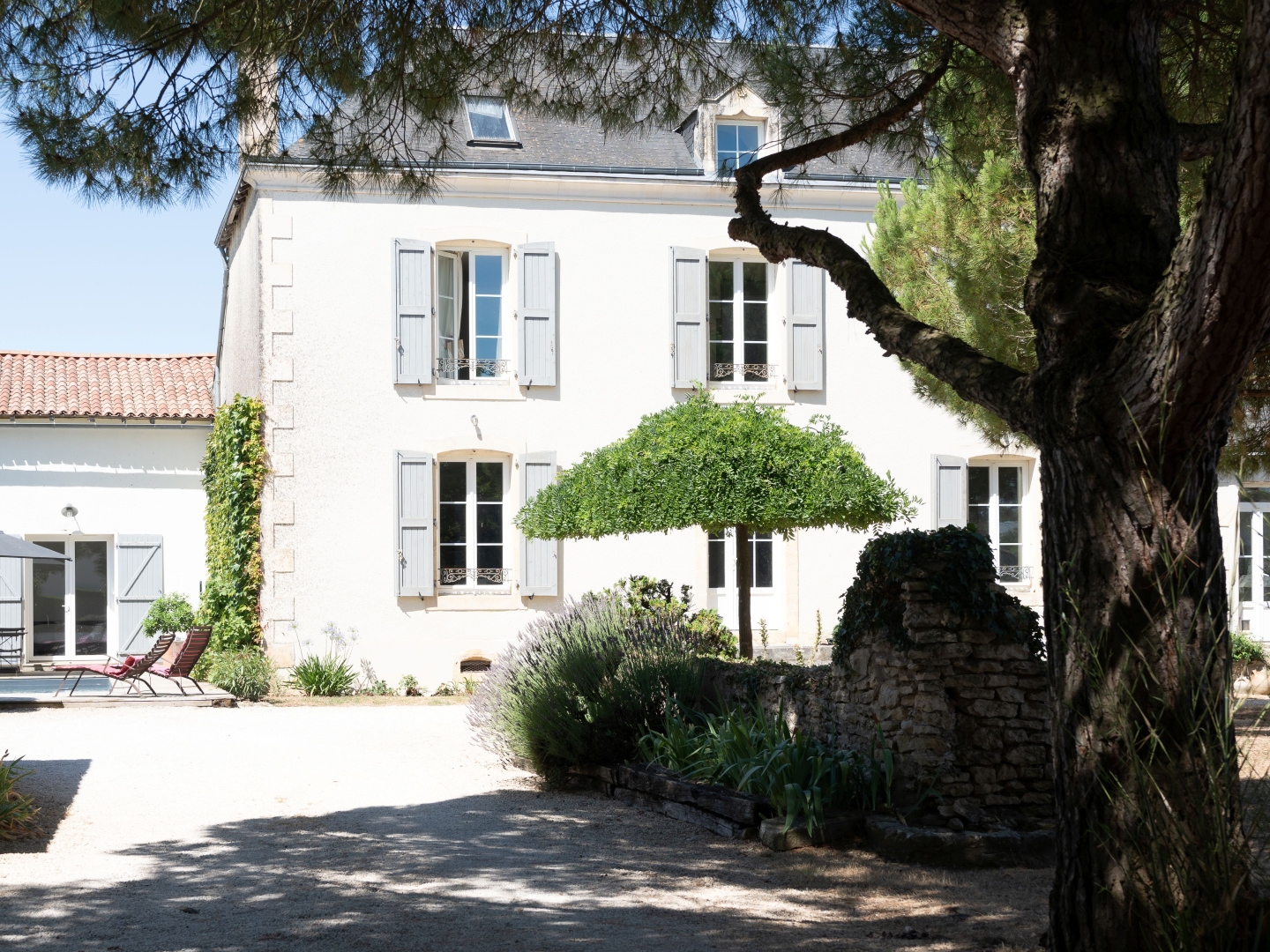 MAISON DE MAITRE 412 M2 RENOVEE 7 CHAMBRES AVEC JARDIN ARBORE ET PISCINE