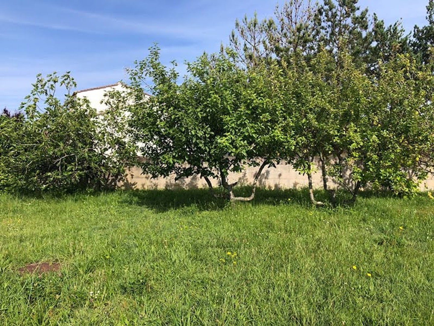 Terrain à vendre - 548m2 - Les Sables-D'olonne (85180)