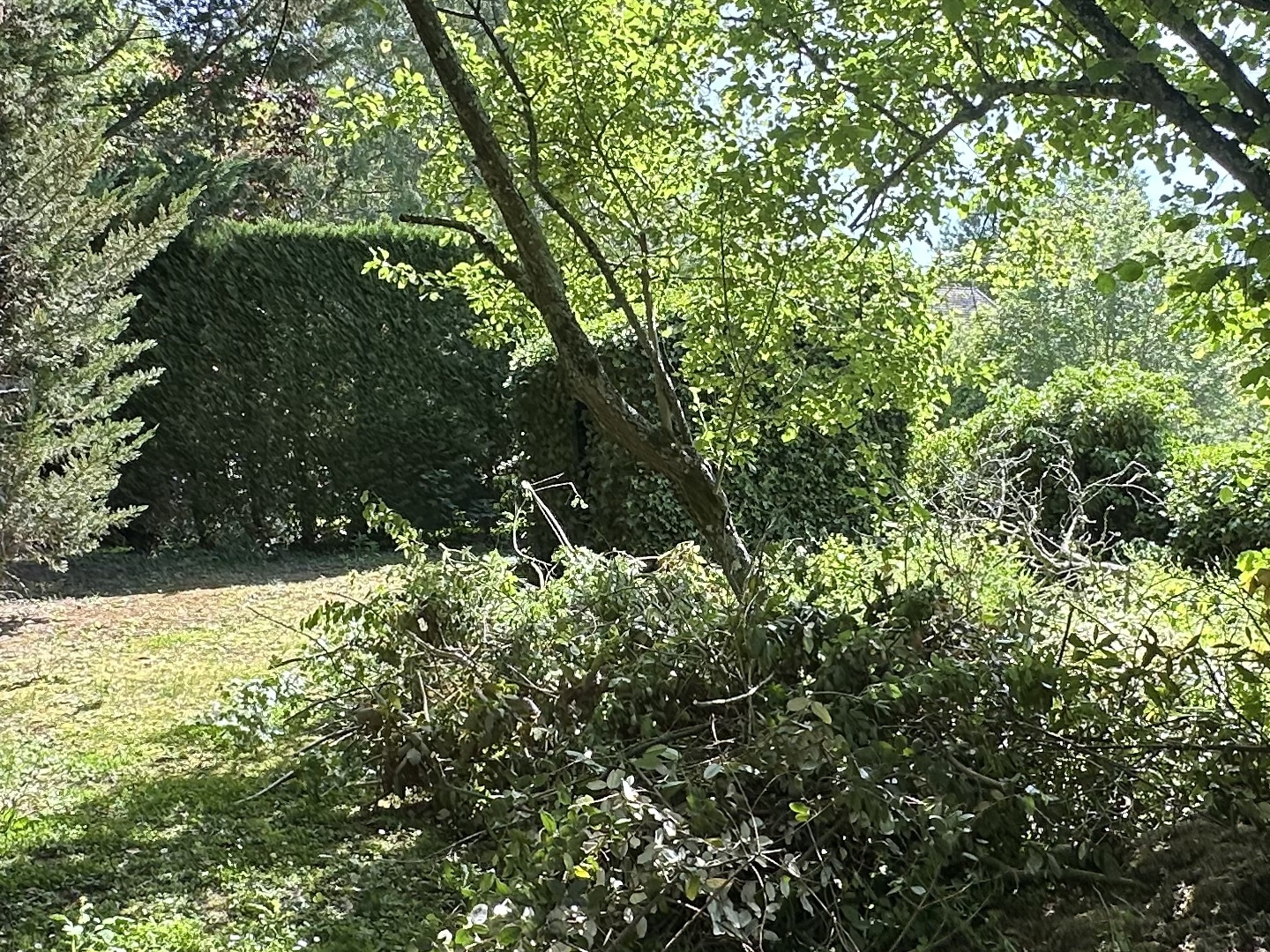 Terrain 2265 m²