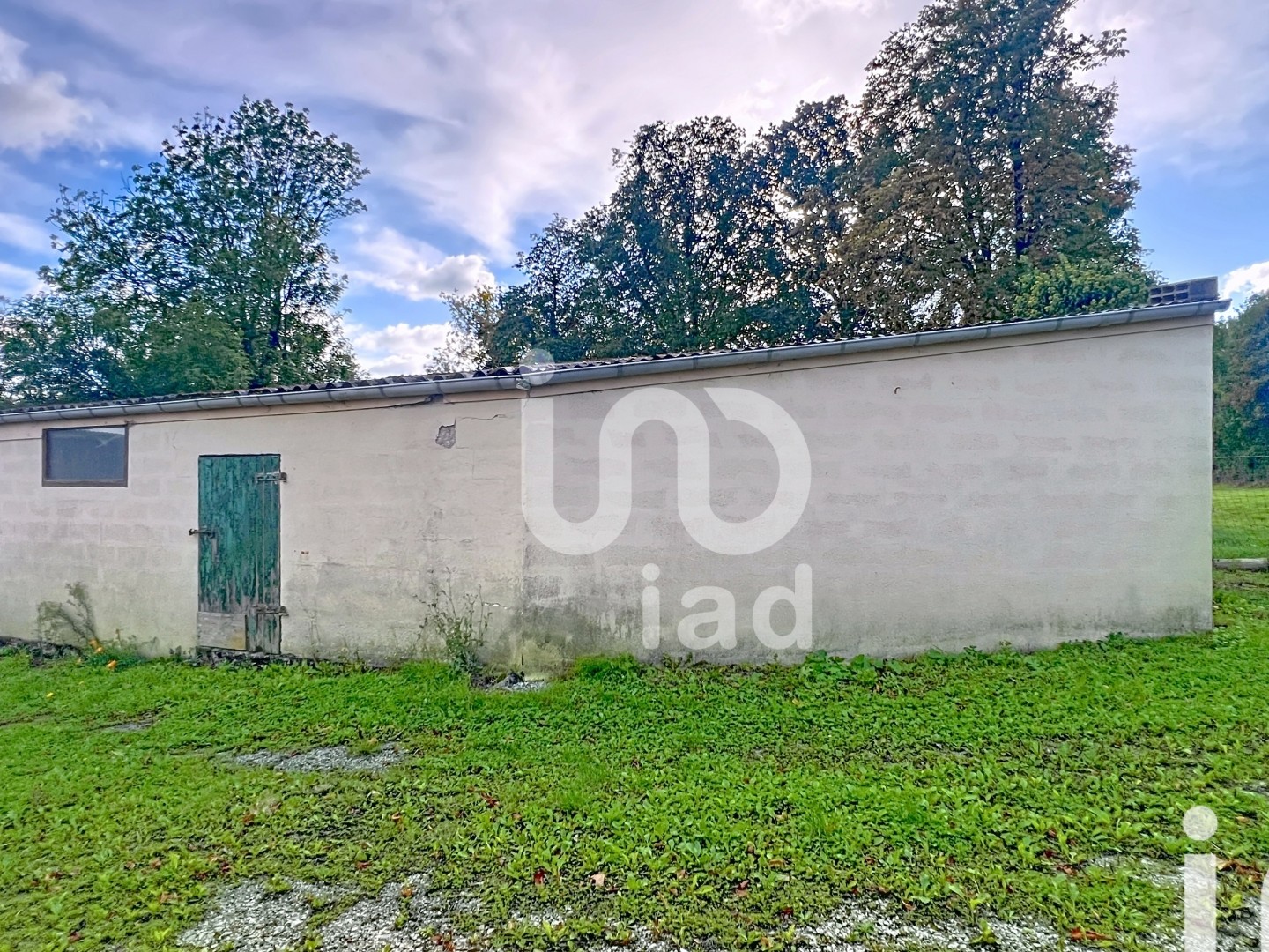 Local 115 m²