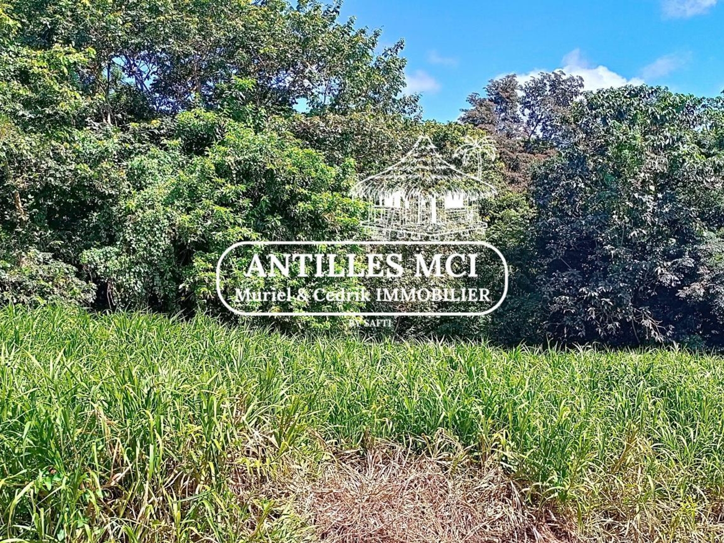 Terrain à vendre - 1632m2 - Rivière-Salée (97215)
