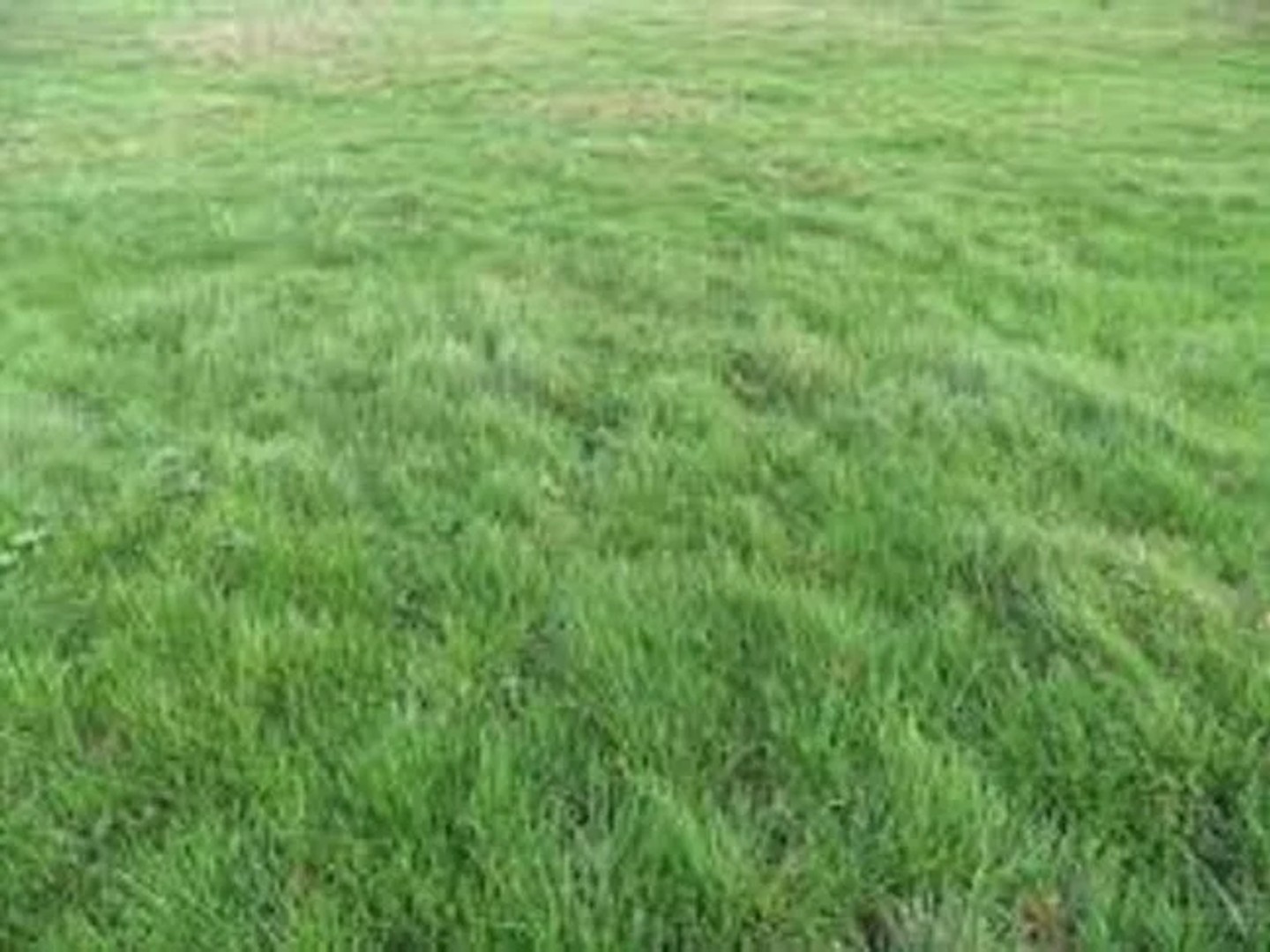 Terrain 1100 m²