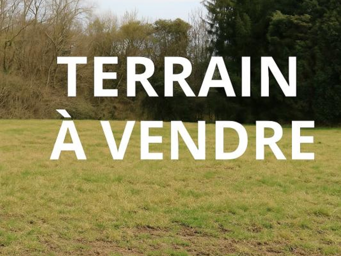 TERRAIN 1100 m² - CENTRE ST DIDIET AU MONT D'OR - VUE DEGAGEE