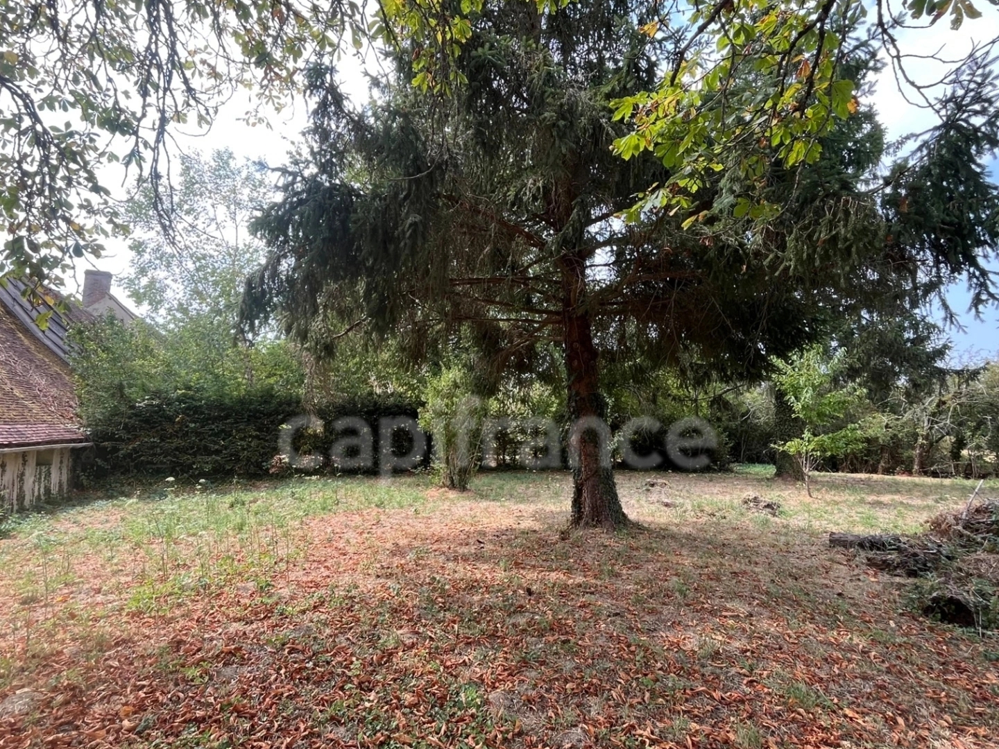 Maison à vendre - 3 pièces - 85m2 - Le Charme (45230)