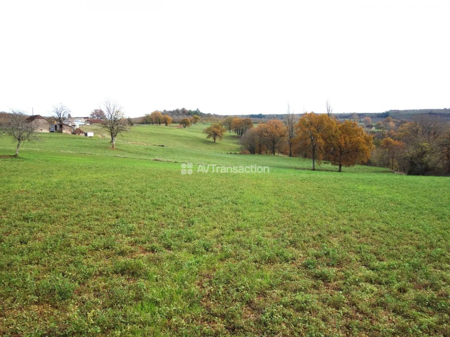 Terrain à vendre - 10355m2 - Les Sarlandes (24390)