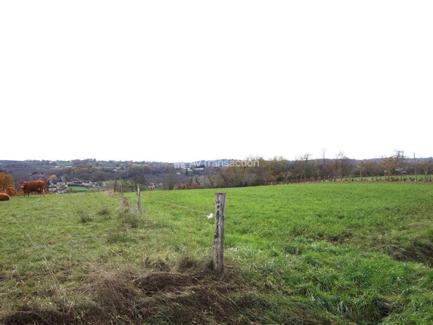 Terrain à vendre - 10355m2 - Les Sarlandes (24390)