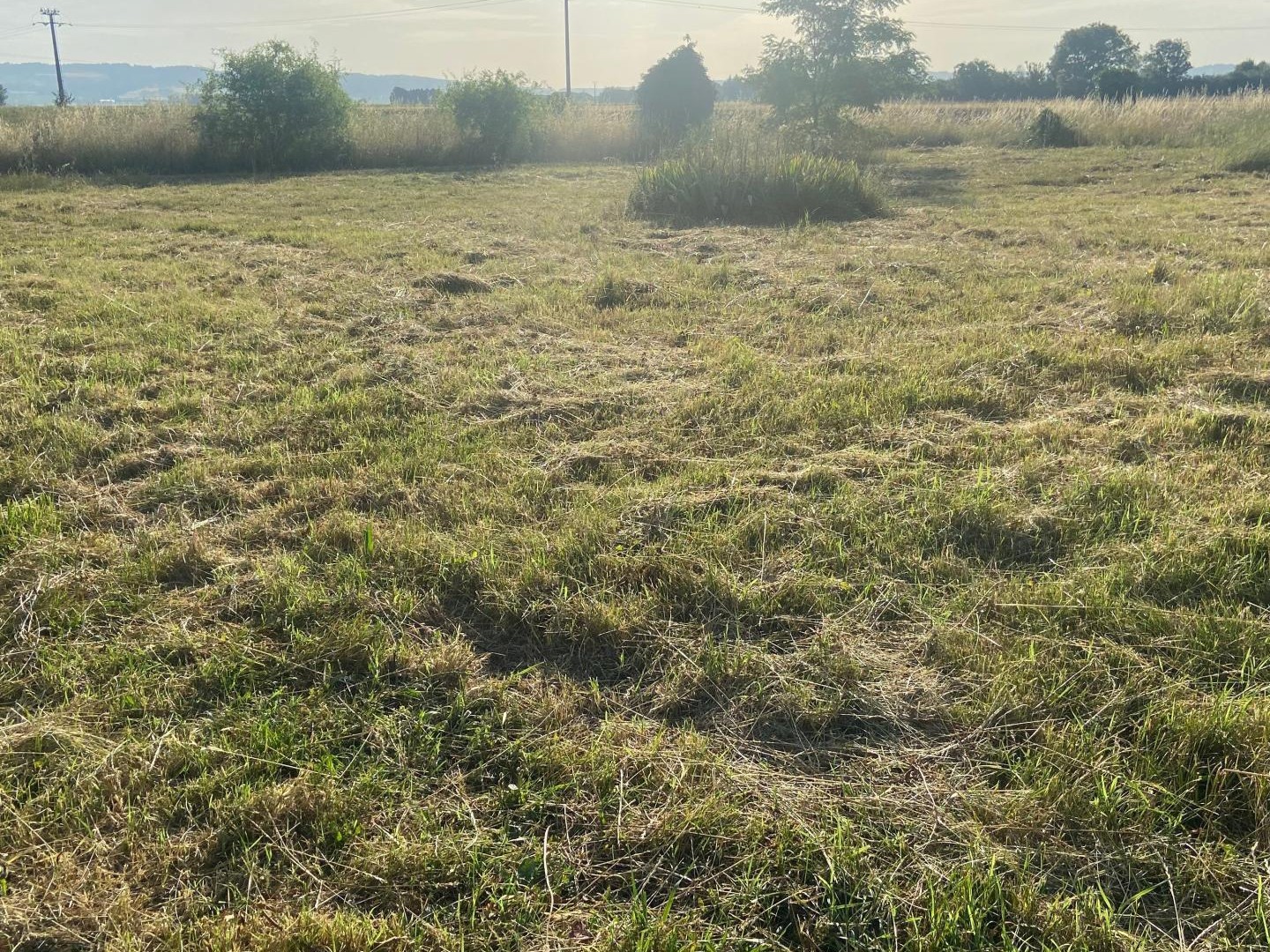Terrain à vendre - 800m2 - Saint-Prim (38370)