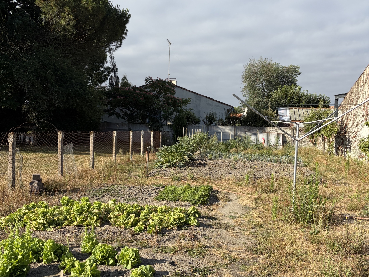 Terrain à vendre - 380m2 - Challans (85300)