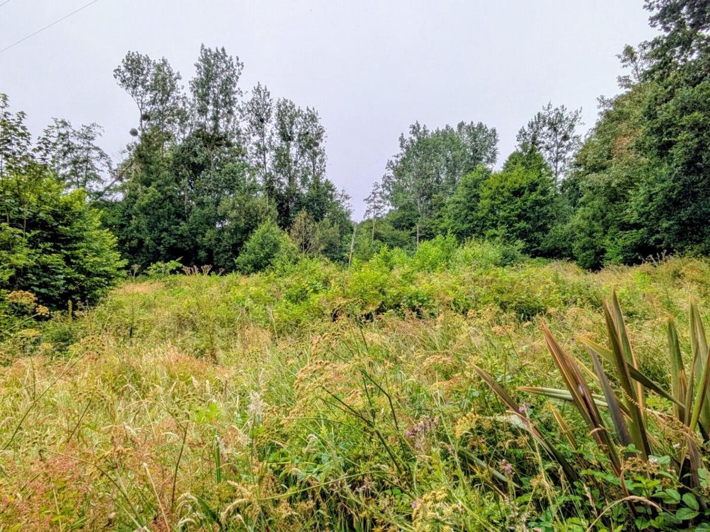 Terrain à bâtir 5760 m²