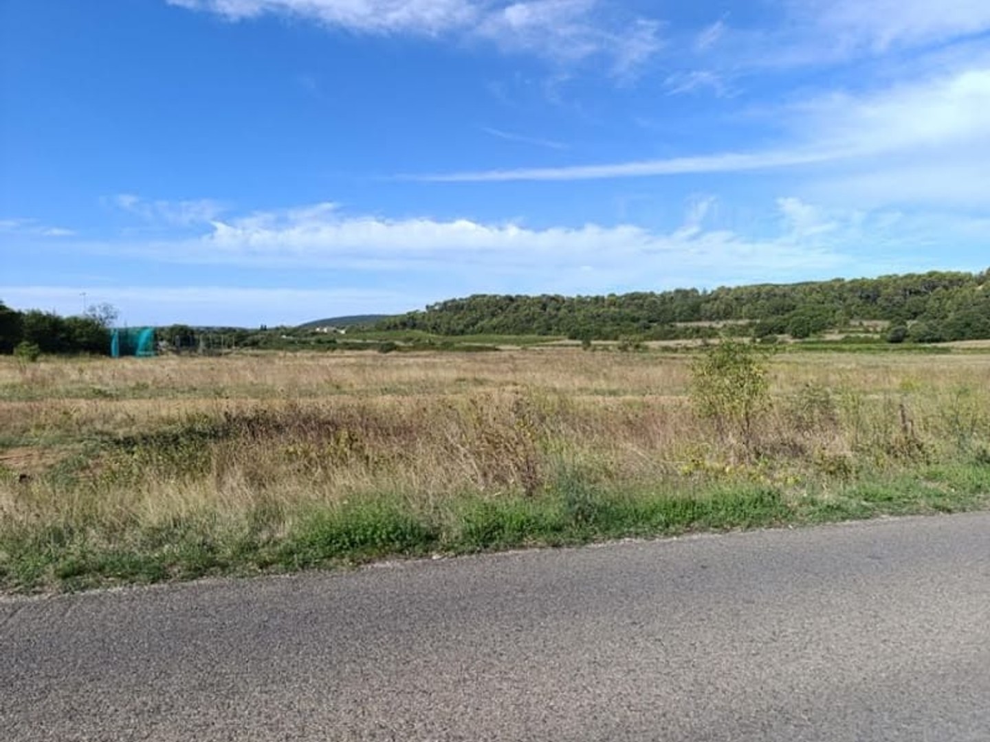 Terrain à vendre - 300m2 - Saint-Mathieu-De-... (34270)