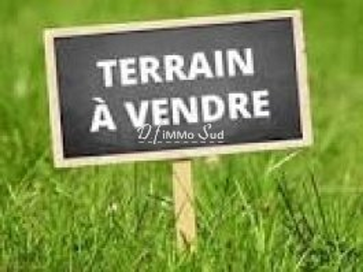 grand terrain agricole