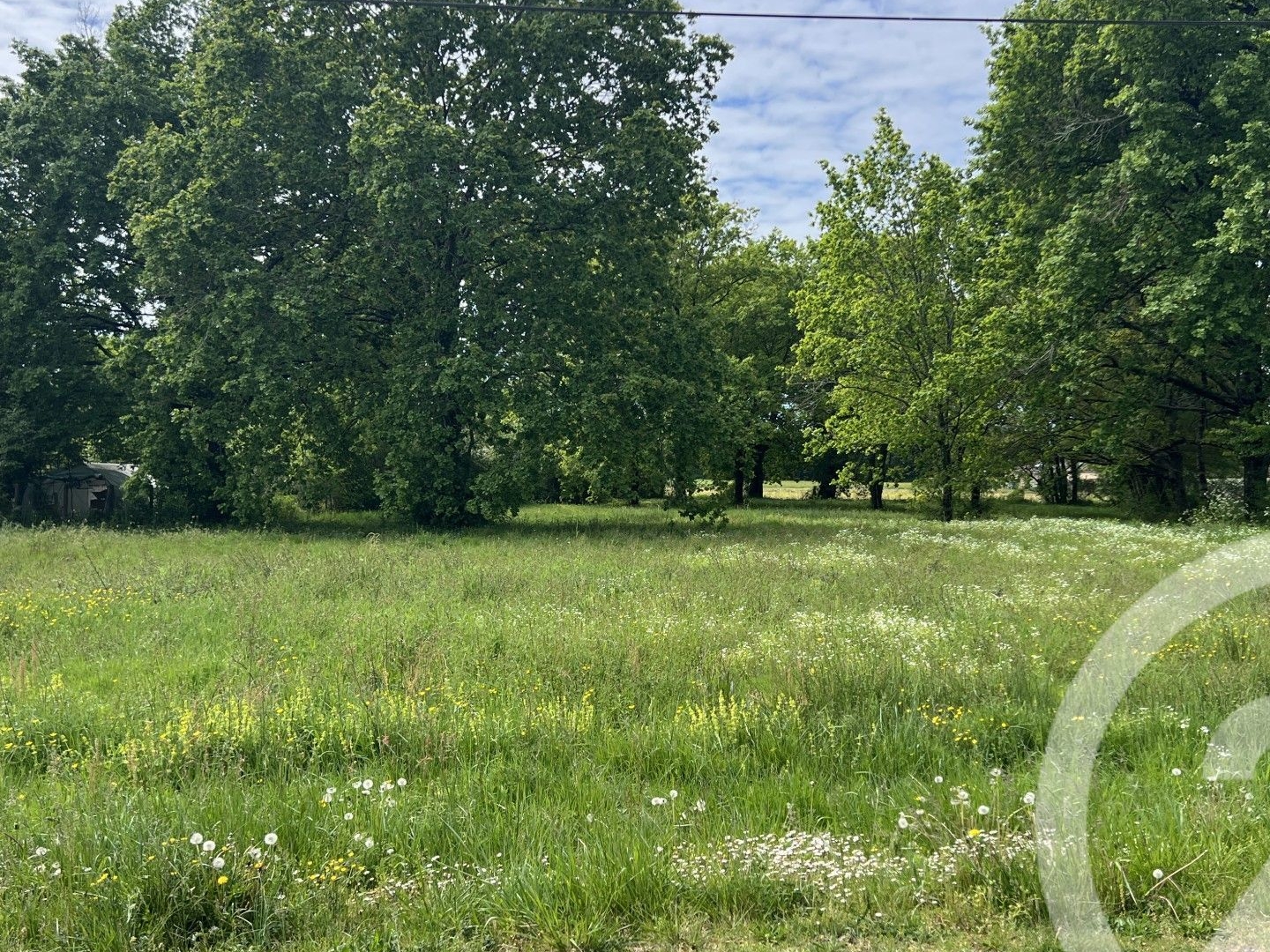 Terrain à vendre - 3447m2 - Montpon-Ménestérol (24700)