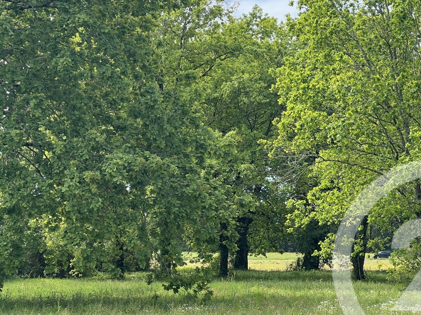 Terrain à vendre - 3447m2 - Montpon-Ménestérol (24700)
