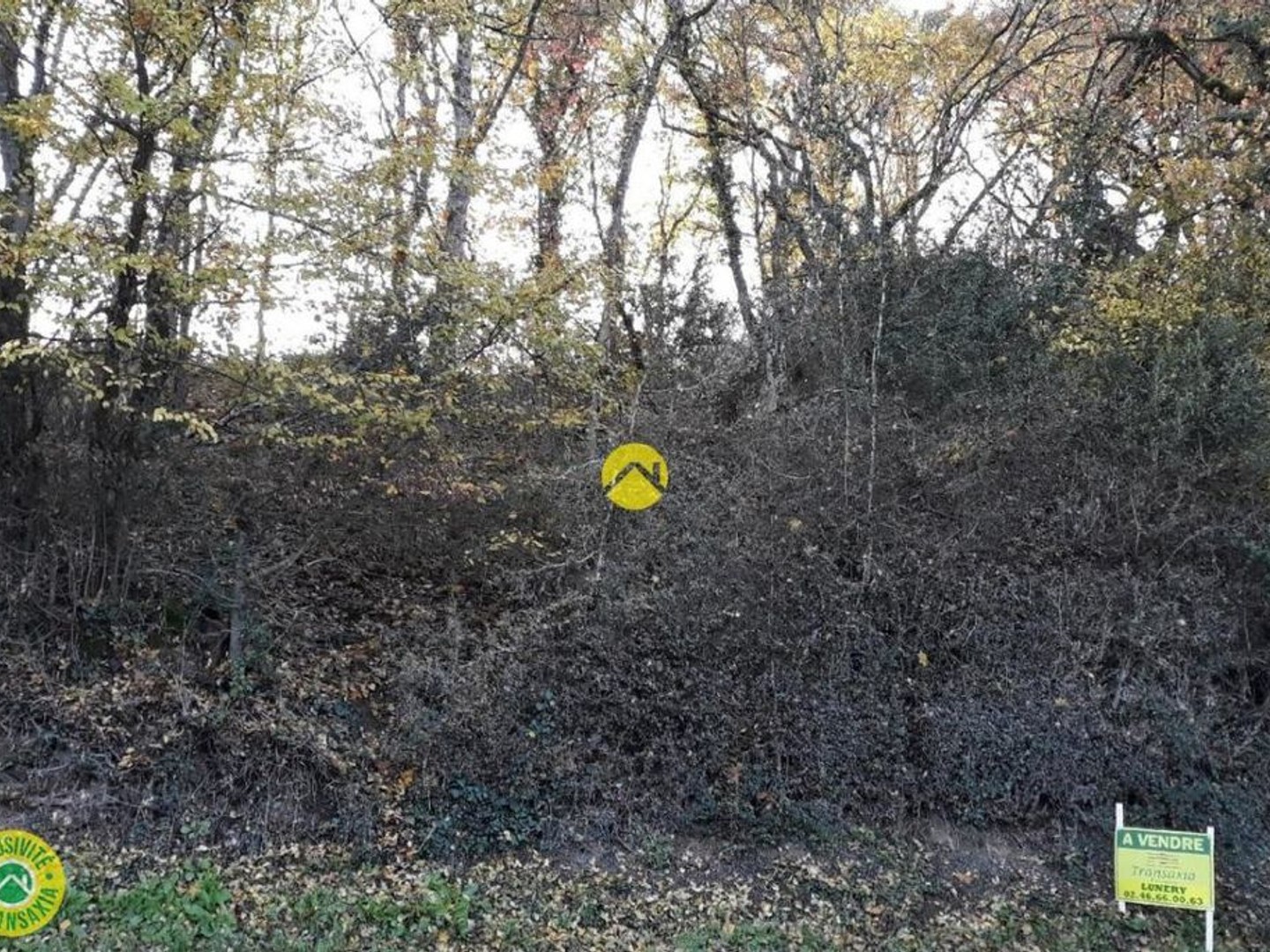 terrain à Bâtir